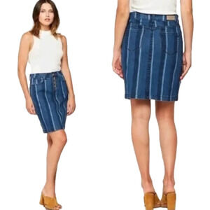 Anthropologie Maeve Striped Denim Pencil Skirt
